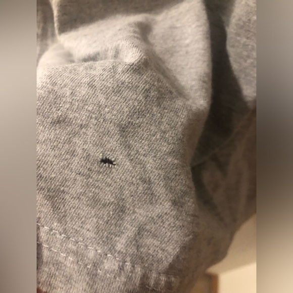 ✨KEY SHORT SLEEVE TEE SHIRT SIZE LARGE - Picture 10 of 12